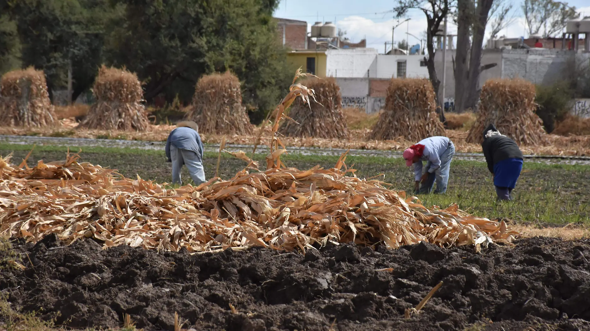 Clúster de Alimentos de Guanajuato pone piso parejo para implementar cultura de inocuidad (2)